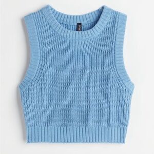 Blue and White Cropped Ribbed Sweater Vest